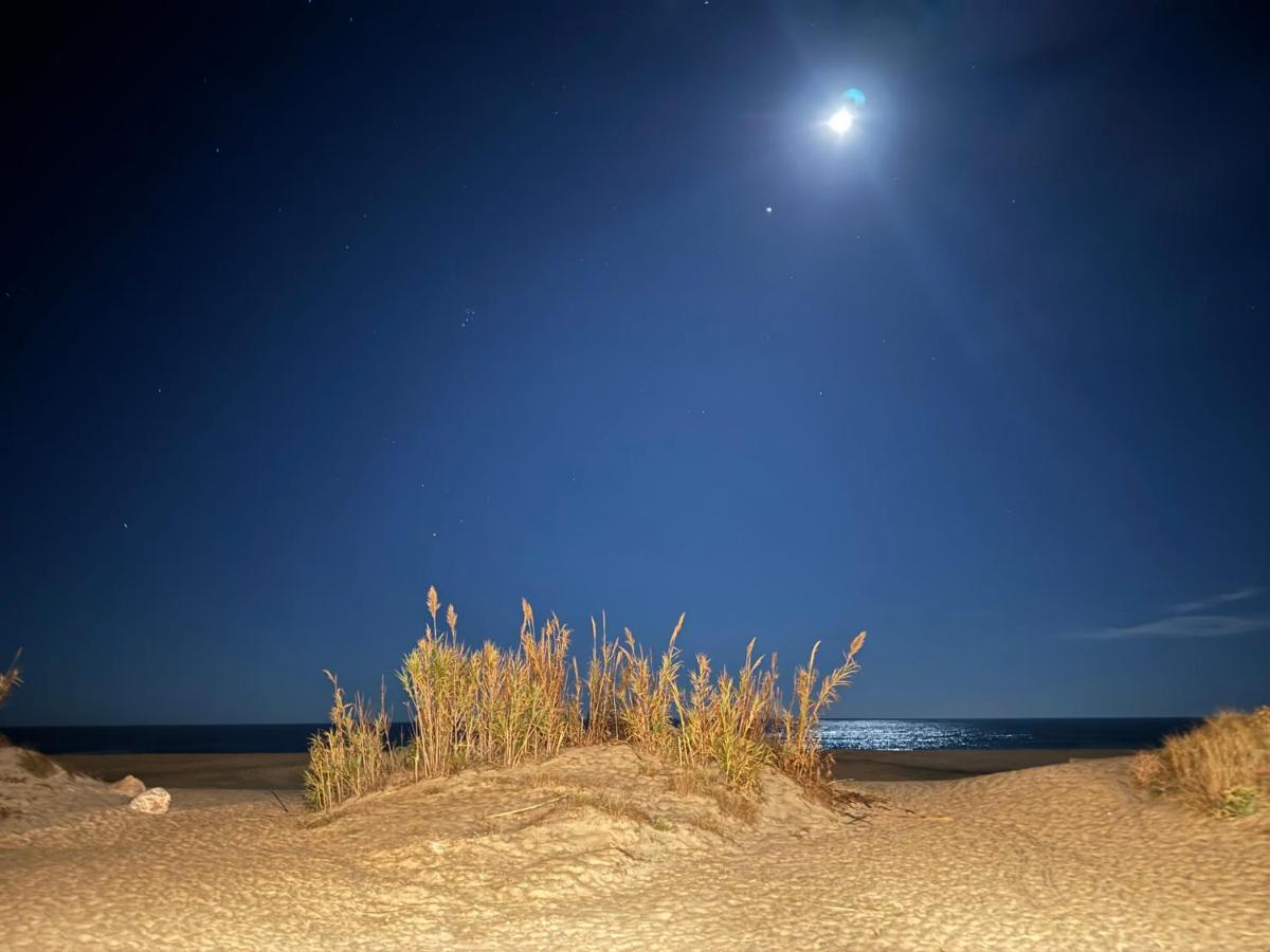 Mobilhome Le Mar Estang Camping Canet-en-Roussillon